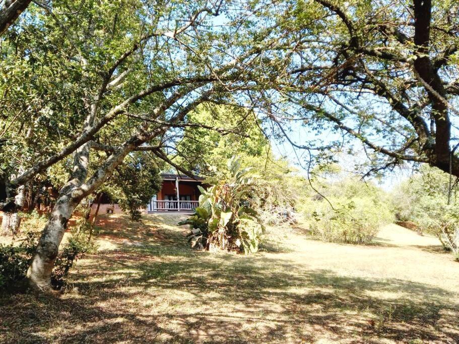 Bee-Eater Cottage, Dagama Dam White River Extérieur photo